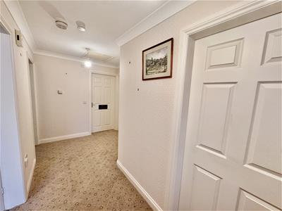 Picture 11